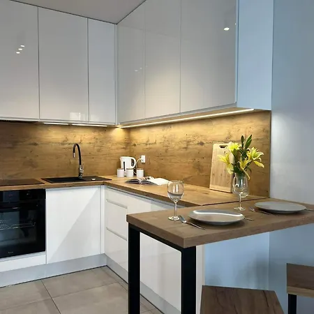 דירה Parkcity Centrum קטוביץ